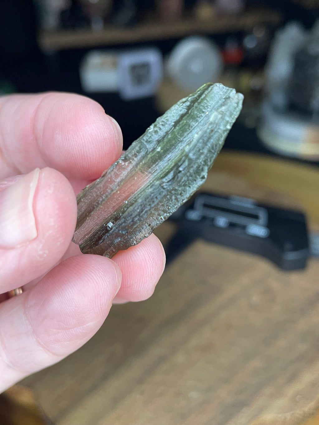 A person holding a textured, elongated green Moldavite with Herkimer Diamonds - 3.4 g crystal piece.