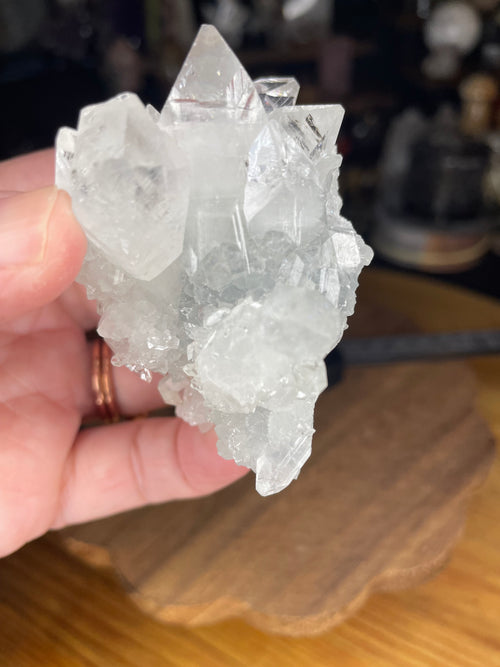 A hand holds an Apophyllite Specimen - 108 g, which is a cluster of clear, geometric apophyllite crystals.