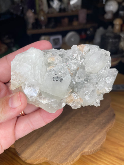 A hand holds an Apophyllite with Stilbite - 178 g, featuring a cluster of clear, geometric apophyllite crystals with small peach-colored stilbite blades.
