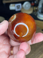 A hand holds a Carnelian Sphere - 48.2 mm, a polished, reddish-orange spherical gemstone with white banding.