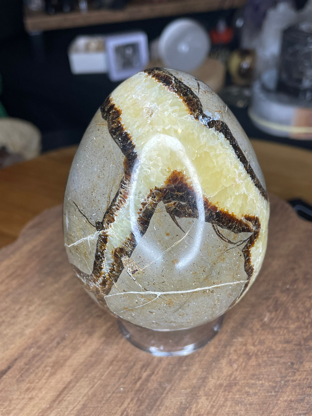 Big Mama Septarian Egg - UV Reactive - 22.9 oz polished to show brown and cream-colored crystalline patterns, displayed on a small clear stand.