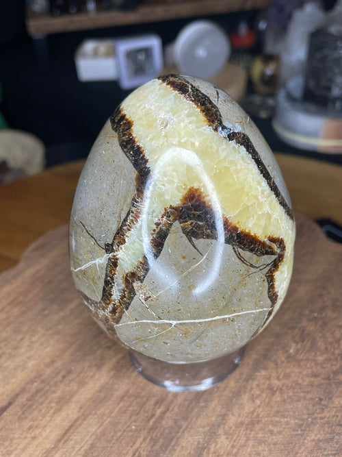 Big Mama Septarian Egg - UV Reactive - 22.9 oz polished to show brown and cream-colored crystalline patterns, displayed on a small clear stand.