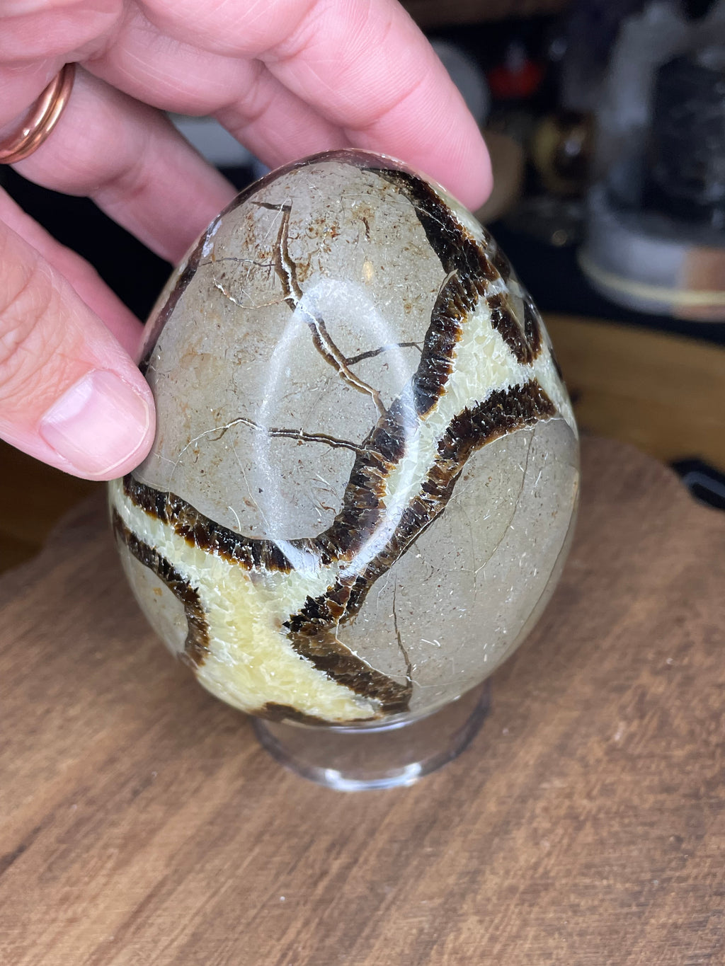 A hand holds a Big Mama Septarian Egg - UV Reactive - 22.9 oz, an egg-shaped stone with a grey surface featuring intersecting brown and yellow mineral veins.