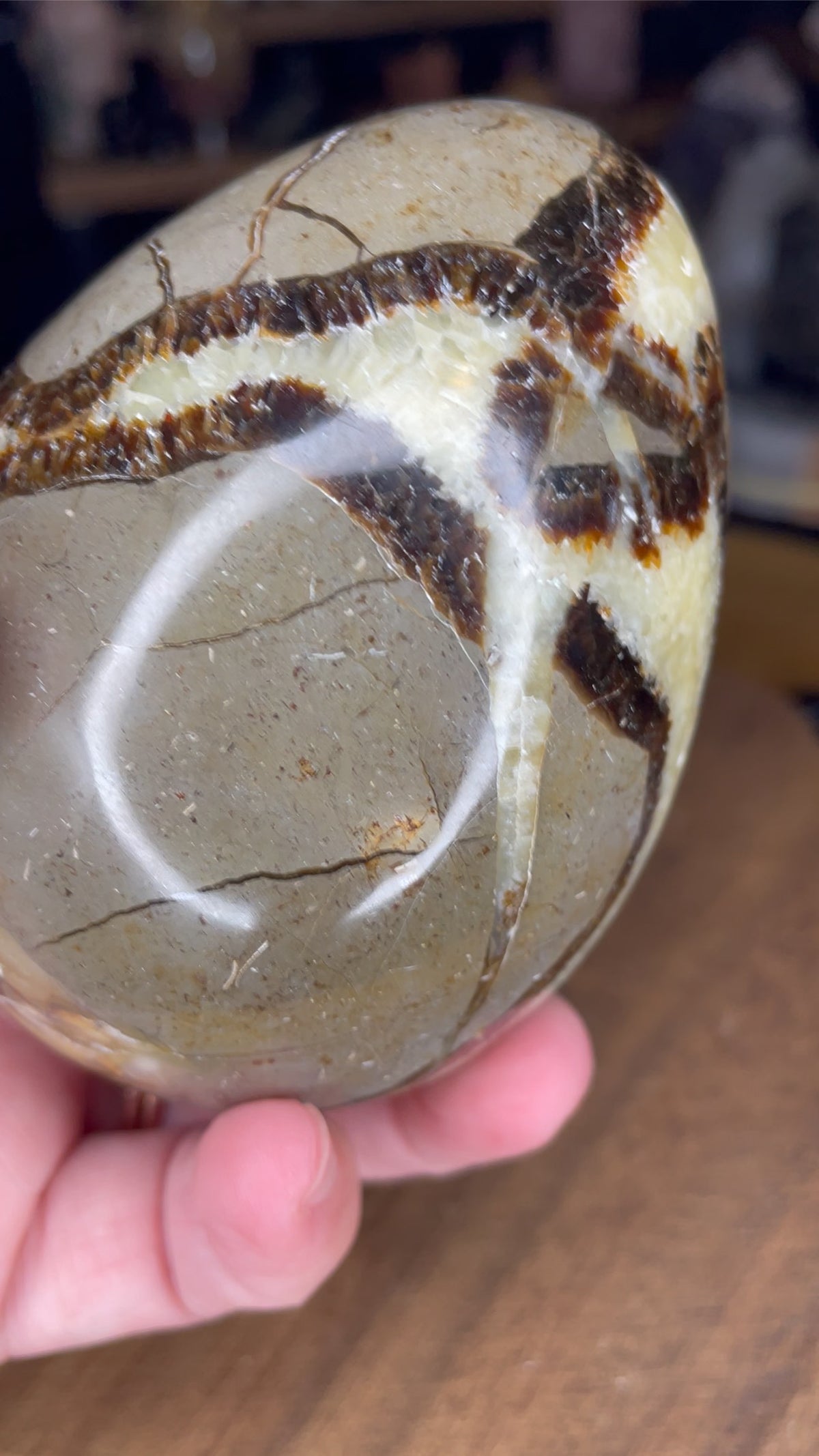 A hand holding a Big Mama Septarian Egg - UV Reactive - 22.9 oz, a smooth, egg-shaped stone with prominent dark brown and cream-colored geometric fissures.