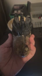 Volcano Agate Dragon Carving